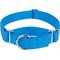 Show in main carousel: Country Brook Design Heavyduty Nylon Martingale Dog Collar, Ice Blue, Medium: 15 to 21-in neck, 1-in wide slide 1 of 10