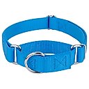 Country Brook Design Heavyduty Nylon Martingale Dog Collar, Ice Blue, Large: 18 to 26-in neck, 1-in wide