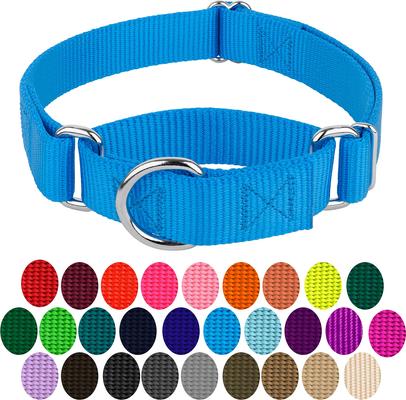 Show full view: Country Brook Design Heavyduty Nylon Martingale Dog Collar, Ice Blue, Medium: 15 to 21-in neck, 1-in wide slide 5 of 10