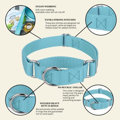 Show full view: Country Brook Design Heavyduty Nylon Martingale Dog Collar, Ocean Blue, Medium: 15 to 21-in neck, 1-in wide slide 9 of 10
