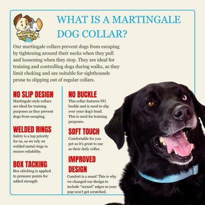 Show full view: Country Brook Design Heavyduty Nylon Martingale Dog Collar, Ocean Blue, Medium: 15 to 21-in neck, 1-in wide slide 8 of 10