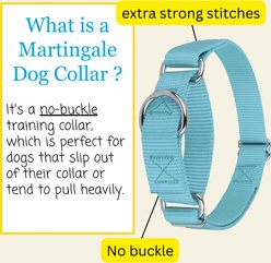 Country Brook Design Heavyduty Nylon Martingale Dog Collar, Ocean Blue, X-Small: 9 to 12-in neck, 5/8-in wide slide 2 of 9