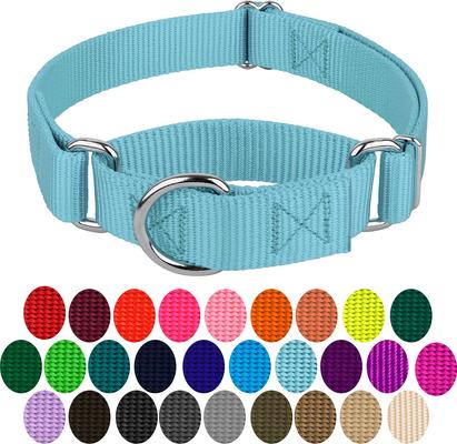 Show full view: Country Brook Design Heavyduty Nylon Martingale Dog Collar, Ocean Blue, X-Small: 9 to 12-in neck, 5/8-in wide slide 5 of 10