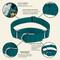 Show in main carousel: Country Brook Design Heavyduty Nylon Martingale Dog Collar, Teal, Large: 18 to 26-in neck, 1-in wide slide 9 of 10
