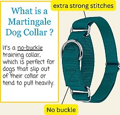 Country Brook Design Heavyduty Nylon Martingale Dog Collar, Teal, Medium: 15 to 21-in neck, 1-in wide slide 2 of 9