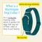 Show in main carousel: Country Brook Design Heavyduty Nylon Martingale Dog Collar, Teal, Large: 18 to 26-in neck, 1-in wide slide 6 of 10
