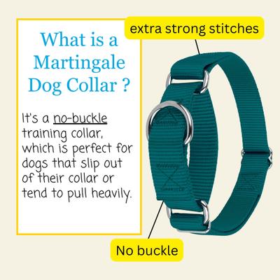 Show full view: Country Brook Design Heavyduty Nylon Martingale Dog Collar, Teal, Large: 18 to 26-in neck, 1-in wide slide 6 of 10