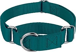 Country Brook Design Heavyduty Nylon Martingale Dog Collar, Teal, Medium: 15 to 21-in neck, 1-in wide