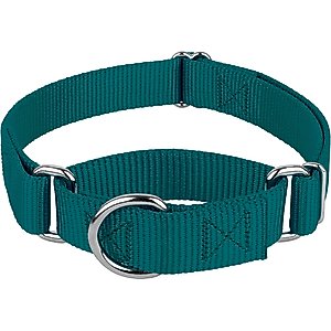 Country Brook Design Heavyduty Nylon Martingale Dog Collar, Teal, Medium: 15 to 21-in neck, 1-in wide
