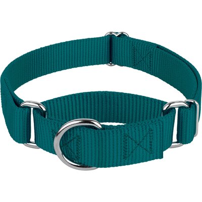 Country Brook Design Country Brook Design Heavyduty Nylon Martingale Dog Collar, Teal, Small: 11 to 15-in neck, 3/4-in wide