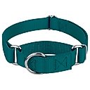 Country Brook Design Heavyduty Nylon Martingale Dog Collar, Teal, Large: 18 to 26-in neck, 1-in wide