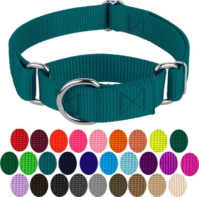 Show full view: Country Brook Design Heavyduty Nylon Martingale Dog Collar, Teal, Large: 18 to 26-in neck, 1-in wide slide 5 of 10