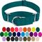 Show in main carousel: Country Brook Design Heavyduty Nylon Martingale Dog Collar, Teal, X-Large: 23 to 31-in neck, 1-in wide slide 6 of 11