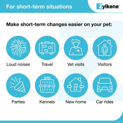 Show full view: Vetoquinol Zylkene 75-mg Capsules Calming Supplement for Small Dogs & Cats, 120 count slide 6 of 12