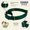 Show in main carousel: Country Brook Design Heavyduty Nylon Martingale Dog Collar, Green, X-Large: 23 to 31-in neck, 1-in wide slide 9 of 10