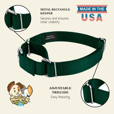 Show full view: Country Brook Design Heavyduty Nylon Martingale Dog Collar, Green, X-Large: 23 to 31-in neck, 1-in wide slide 9 of 10