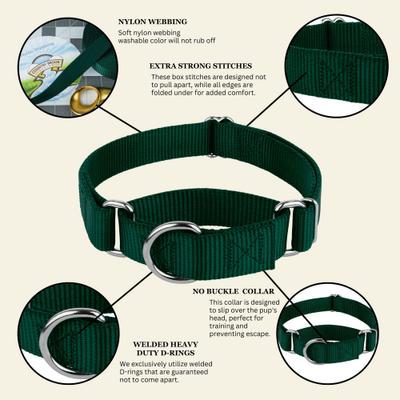 Show full view: Country Brook Design Heavyduty Nylon Martingale Dog Collar, Green, X-Large: 23 to 31-in neck, 1-in wide slide 8 of 10