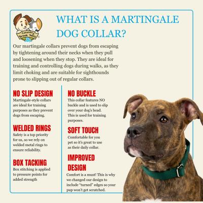 Show full view: Country Brook Design Heavyduty Nylon Martingale Dog Collar, Green, X-Large: 23 to 31-in neck, 1-in wide slide 7 of 10