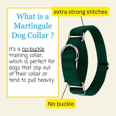 Show full view: Country Brook Design Heavyduty Nylon Martingale Dog Collar, Green, X-Large: 23 to 31-in neck, 1-in wide slide 5 of 10