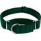Show in main carousel: Country Brook Design Heavyduty Nylon Martingale Dog Collar, Green, X-Large: 23 to 31-in neck, 1-in wide slide 1 of 10
