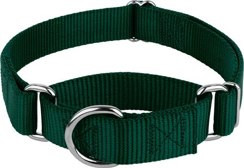 Country Brook Design Heavyduty Nylon Martingale Dog Collar