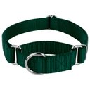 Country Brook Design Heavyduty Nylon Martingale Dog Collar, Green, Medium: 15 to 21-in neck, 1-in wide