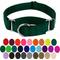 Show in main carousel: Country Brook Design Heavyduty Nylon Martingale Dog Collar, Green, X-Large: 23 to 31-in neck, 1-in wide slide 4 of 10