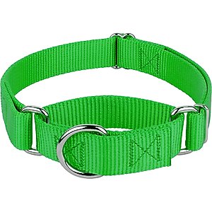Country Brook Design Heavyduty Nylon Martingale Dog Collar, Hot Green, Medium: 15 to 21-in neck, 1-in wide
