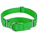 Country Brook Design Heavyduty Nylon Martingale Dog Collar, Hot Green, Small: 11 to 15-in neck, 3/4-in wide