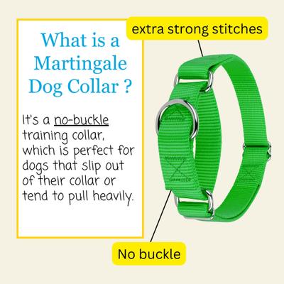 Show full view: Country Brook Design Heavyduty Nylon Martingale Dog Collar, Hot Green, Medium: 15 to 21-in neck, 1-in wide slide 6 of 10