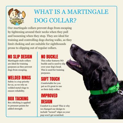 Show full view: Country Brook Design Heavyduty Nylon Martingale Dog Collar, Hot Green, Medium: 15 to 21-in neck, 1-in wide slide 8 of 10