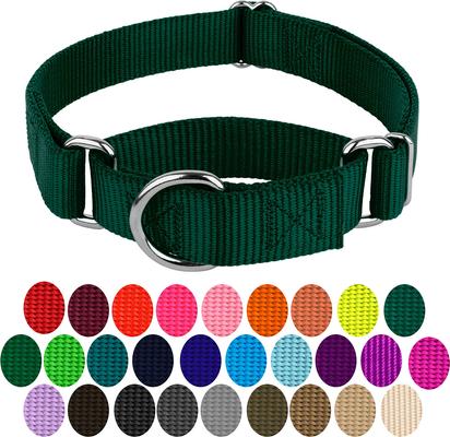 Show full view: Country Brook Design Heavyduty Nylon Martingale Dog Collar, Green, Medium: 15 to 21-in neck, 1-in wide slide 4 of 10