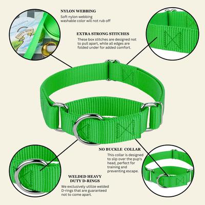 Show full view: Country Brook Design Heavyduty Nylon Martingale Dog Collar, Hot Green, Medium: 15 to 21-in neck, 1-in wide slide 9 of 10