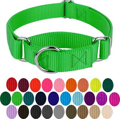 Show full view: Country Brook Design Heavyduty Nylon Martingale Dog Collar, Hot Green, Medium: 15 to 21-in neck, 1-in wide slide 5 of 10