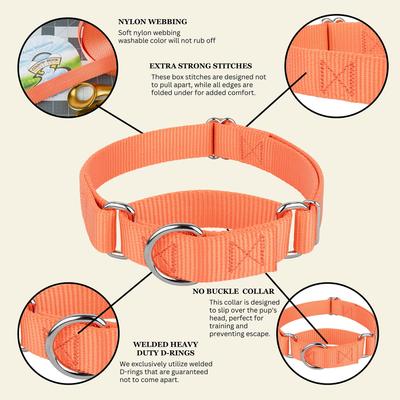 Show full view: Country Brook Design Heavyduty Nylon Martingale Dog Collar, Mango, Large: 18 to 26-in neck, 1-in wide slide 10 of 11