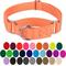 Show in main carousel: Country Brook Design Heavyduty Nylon Martingale Dog Collar, Mango, Large: 18 to 26-in neck, 1-in wide slide 6 of 11