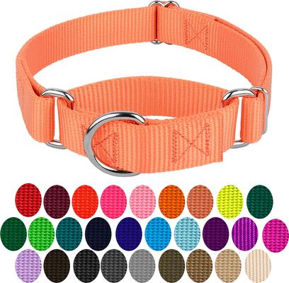Show full view: Country Brook Design Heavyduty Nylon Martingale Dog Collar, Mango, Large: 18 to 26-in neck, 1-in wide slide 6 of 11
