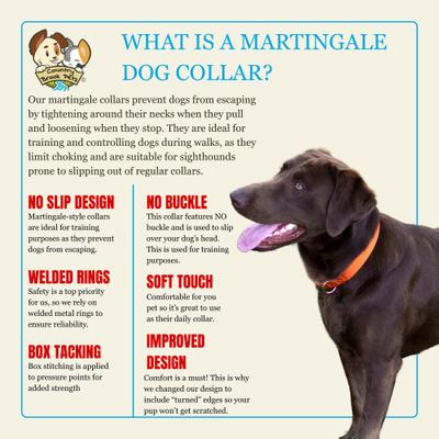 Show full view: Country Brook Design Heavyduty Nylon Martingale Dog Collar, Orange, Small: 11 to 15-in neck, 3/4-in wide slide 8 of 10