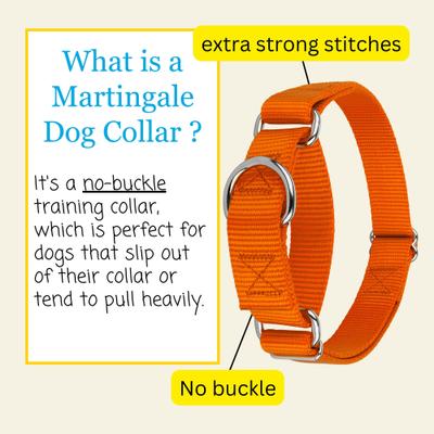 Show full view: Country Brook Design Heavyduty Nylon Martingale Dog Collar, Orange, Small: 11 to 15-in neck, 3/4-in wide slide 6 of 10