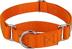 Country Brook Design Heavyduty Nylon Martingale Dog Collar, Orange, Medium: 15 to 21-in neck, 1-in wide