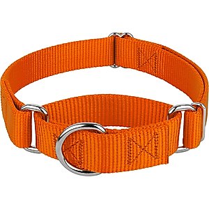 Country Brook Design Heavyduty Nylon Martingale Dog Collar, Orange, Large: 18 to 26-in neck, 1-in wide
