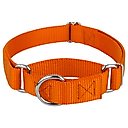 Country Brook Design Heavyduty Nylon Martingale Dog Collar, Orange, Medium: 15 to 21-in neck, 1-in wide