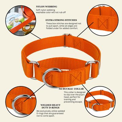 Show full view: Country Brook Design Heavyduty Nylon Martingale Dog Collar, Orange, Medium: 15 to 21-in neck, 1-in wide slide 10 of 11