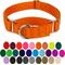Show in main carousel: Country Brook Design Heavyduty Nylon Martingale Dog Collar, Orange, Medium: 15 to 21-in neck, 1-in wide slide 6 of 11