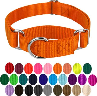 Show full view: Country Brook Design Heavyduty Nylon Martingale Dog Collar, Orange, Medium: 15 to 21-in neck, 1-in wide slide 6 of 11