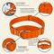 Show in main carousel: Country Brook Design Heavyduty Nylon Martingale Dog Collar, Orange, Large: 18 to 26-in neck, 1-in wide slide 9 of 10