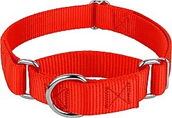 Country Brook Design Heavyduty Nylon Martingale Dog Collar, Hot Orange, Medium: 15 to 21-in neck, 1-in wide