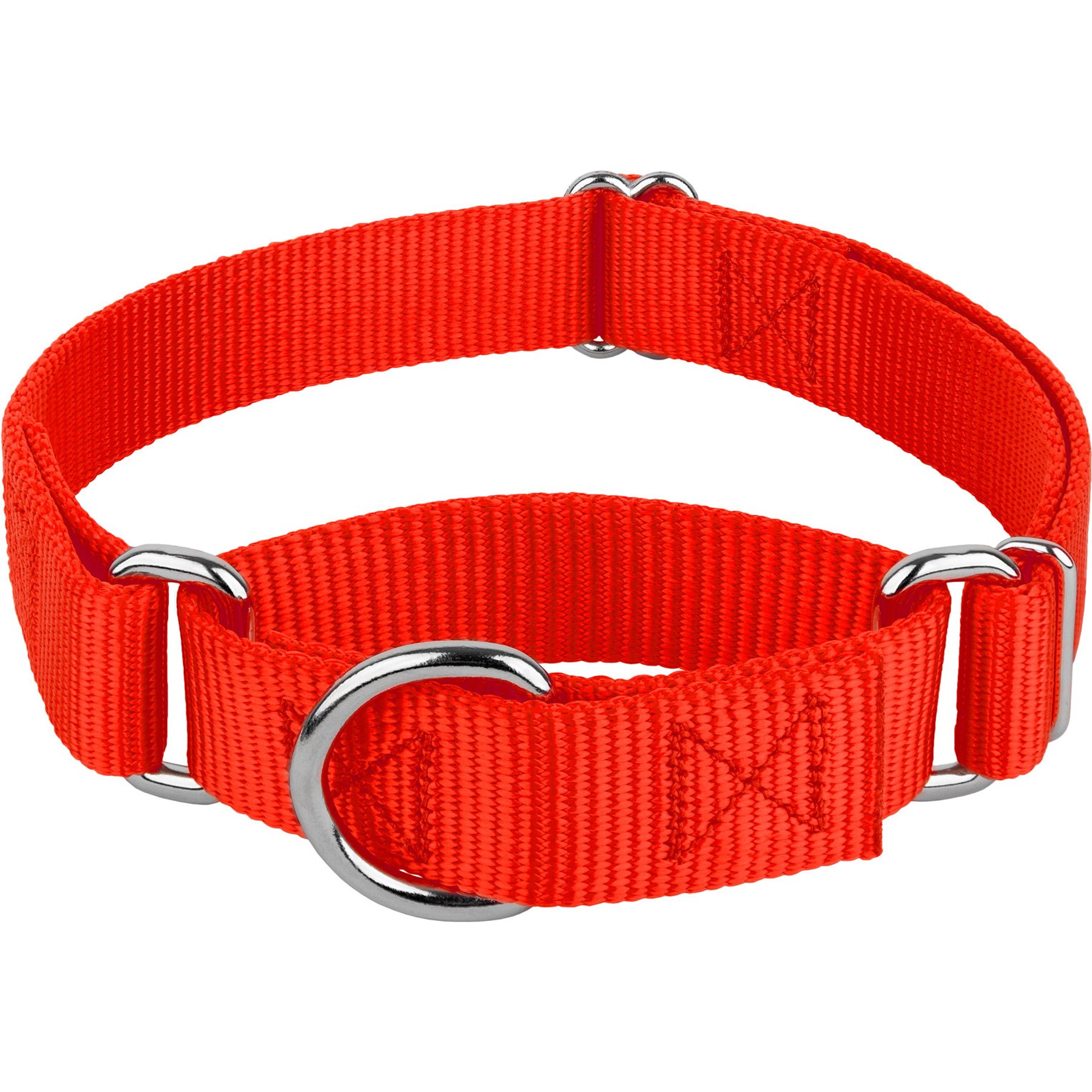 Country Brook Design Heavyduty Nylon Martingale Dog Collar, Hot Orange, Small: 11 to 15-in neck, 3/4-in wide