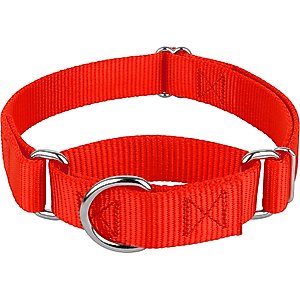 Country Brook Design Heavyduty Nylon Martingale Dog Collar, Hot Orange, Medium: 15 to 21-in neck, 1-in wide