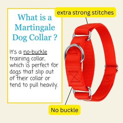 Show full view: Country Brook Design Heavyduty Nylon Martingale Dog Collar, Hot Orange, Medium: 15 to 21-in neck, 1-in wide slide 6 of 10